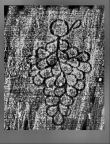 Wasserzeichen DE0960-Mlf288_1
