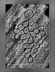 Wasserzeichen DE0960-Mlf288_59