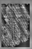 Wasserzeichen DE0960-Mlf288_272