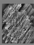 Wasserzeichen DE0960-Mlf288_194