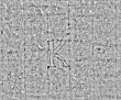 Wasserzeichen DE4795-GoS581_13