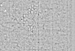 Wasserzeichen DE4795-GoS581_7
