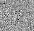 Wasserzeichen DE4795-GoS588_999