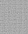 Wasserzeichen DE4795-GoS592_5
