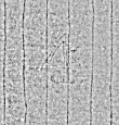 Wasserzeichen DE4795-GoS605_999