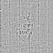 Wasserzeichen DE4795-GoS605_999b