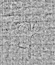 Wasserzeichen DE4795-GoS609_999