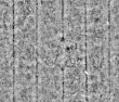 Wasserzeichen DE4795-GoS610_999-wm1