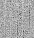Wasserzeichen DE4795-GoS610_999a-wm1