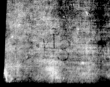 Wasserzeichen DE5580-4Muspr56Beibd6Altus_N3