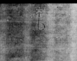 DE5580-4Muspr57Cantus_B3 - Typ:0 - ID: 161774 - Eintrag Nr.: 99 Wasserzeichen DE5580-4Muspr57Cantus_B3