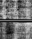 DE5580-4Muspr95Beibd3Cantus_E2 - Typ:0 - ID: 161917 - Eintrag Nr.: 241 Wasserzeichen DE5580-4Muspr95Beibd3Cantus_E2
