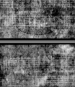 DE5580-4Muspr95Beibd3Bassus_R3 - Typ:0 - ID: 161931 - Eintrag Nr.: 125 Wasserzeichen DE5580-4Muspr95Beibd3Bassus_R3