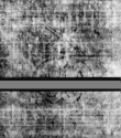 Wasserzeichen DE5580-4Muspr96Beibd1Bassus_C3