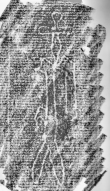 Wasserzeichen DE6720-Cod118_11r