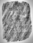 Wasserzeichen DE6720-Cod118_78r