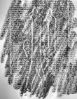 Wasserzeichen DE6720-Cod118_81v