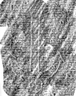 Wasserzeichen DE6720-Ba12_28r