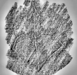 Wasserzeichen DE6720-Ba12_48r