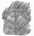 Wasserzeichen DE6720-Ba12_157r