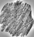 Wasserzeichen DE6720-Ba12_156r