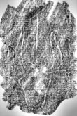 Wasserzeichen DE6720-Ba12_91r