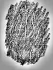 Wasserzeichen DE6720-Ba12_202r