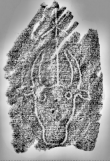 Wasserzeichen DE6720-Ba12_194r