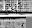 Wasserzeichen DE5580-Cgm9095_153