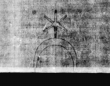 Wasserzeichen DE5580-4Muspr96Beibd16Bassus_K1