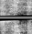 Wasserzeichen DE5580-4Muspr96Beibd16Bassus_L1