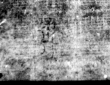 Wasserzeichen DE5580-4Muspr97Beibd7Bassus_T1