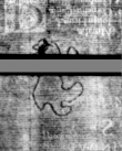 DE5580-4Muspr106Altus_aa1 - Typ:0 - ID: 162131 - Eintrag Nr.: 20 Wasserzeichen DE5580-4Muspr106Altus_aa1
