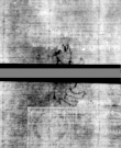 Wasserzeichen DE5580-4Muspr106Tenor_B3