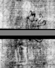 Wasserzeichen DE5580-4Muspr106Tenor_G1
