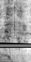 Wasserzeichen DE5580-4Muspr106Tenor_I3