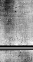 Wasserzeichen DE5580-4Muspr106Tenor_K1