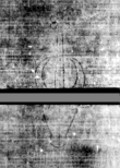 Wasserzeichen DE5580-4Muspr106Beibd2Tenor_Ii1