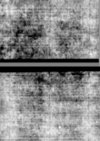 Wasserzeichen DE5580-4Muspr106Beibd4Cantus_d3