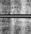 Wasserzeichen DE5580-4Muspr106Beibd5Bassus_d3