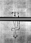 DE5580-4Muspr106Beibd6Bassus_aa1 - Typ:0 - ID: 162236 - Eintrag Nr.: 257 Wasserzeichen DE5580-4Muspr106Beibd6Bassus_aa1