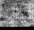 Wasserzeichen DE5580-4Muspr106Beibd8Bassus_T3