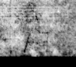 Wasserzeichen DE5580-4Muspr106Beibd7Cantus_CC4