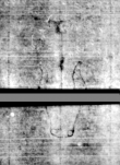 Wasserzeichen DE5580-4Muspr106Beibd9Bassus_D3