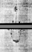 Wasserzeichen DE5580-4Muspr106Beibd9Bassus_G1