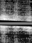 Wasserzeichen DE5580-4Muspr108Bassus_G3