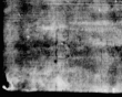 Wasserzeichen DE5580-4Muspr108Bassus_I3