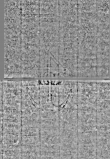Wasserzeichen DE4795-GoS611_999