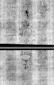 Wasserzeichen DE5580-4Muspr106Beibd10Tenor_c1