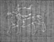 Wasserzeichen FR7600-135_15